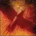 The Blinding Light The Ascension Attempt