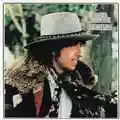 Bob Dylan Desire