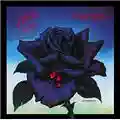 Thin Lizzy Black Rose