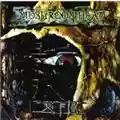 Mushroomhead XIII