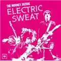 The Mooney Suzuki Electric Sweat
