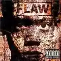Flaw Through The Eye