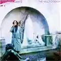 John Frusciante The Will To Death