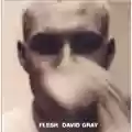 David Gray Flesh