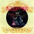 Motherhead Bug Zambodia