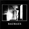 Bauhaus In The Flat Field