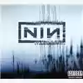 Nine Inch Nails With Teeth