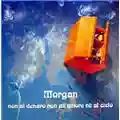 Morgan Non al denaro non all'amore né al cielo