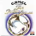 Camel The Snow Goose