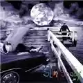 Eminem The Slim Shady Lp
