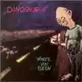 Dinosaur Jr. Where You Been