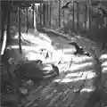 Burzum Hvis Lyset Tar Oss
