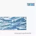 Tortoise Millions Now Living Will Never Die