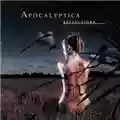 Apocalyptica Reflections