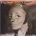 Pain Of Salvation One Hour By The Concrete Lake