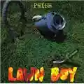 Phish Lawn Boy