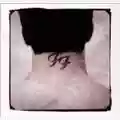 Foo Fighters There is nothing left to lose