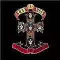 Guns'n'Roses Appetite for Destruction
