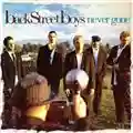 Backstreet Boys Never Gone
