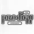 Prodigy Experience