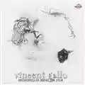 Vincent Gallo Recording of music for film