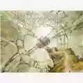 Ayreon The Human Equation