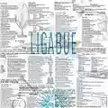 Ligabue Ligabue