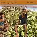 Deep Purple Bananas