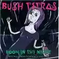 Bush Tetras Boom In The Night