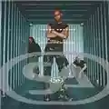 Skunk Anansie Paranoid & Sunburnt