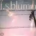 F.S. Blumm Zweite Meer