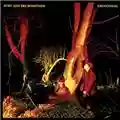 Echo and The Bunnymen Crocodiles