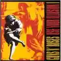 Guns And Roses Use Your Illusion 1&2