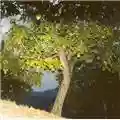 Rosolina Mar Rosolina Mar