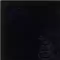 Metallica The Black Album