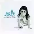 Eels Beautiful Freak