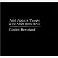 Acid Mothers Temple & The Melting Paraiso U.F.O. Electric Heavyland