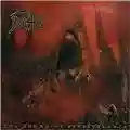 Death The sound of perseverance