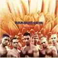 Rammstein Herzeleid