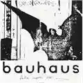 Bauhaus Bela Lugosi's Dead