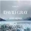 David Gray Life In Slow Motion