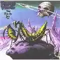 Praying Mantis Time Tells No Lies