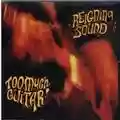 Reigning Sound Too Much Guitar
