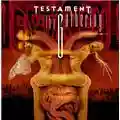 Testament The Gathering