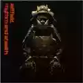Leftfield Rhythm and Stealth