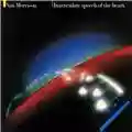 Van Morrison Inarticulate Speech Of The Heart