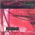 David Sylvian & Robert Fripp Damage