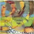 Mercury Rev Yerself Is Steam