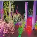 Hüsker Dü Warehouse: Songs And Stories