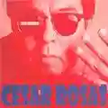 Cesar Rosas Soul Disguise